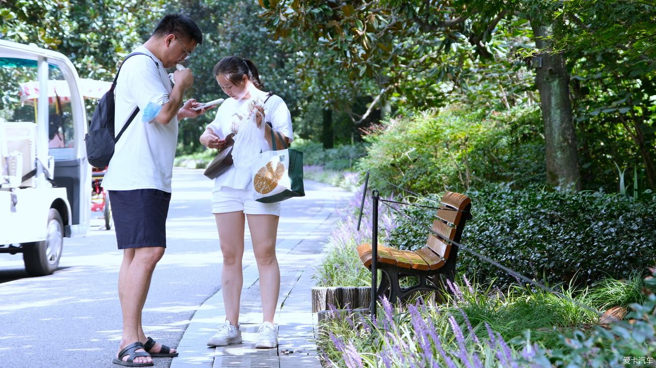 日记 吃南翔逛上海植物园【严建设】 2023年9月17日