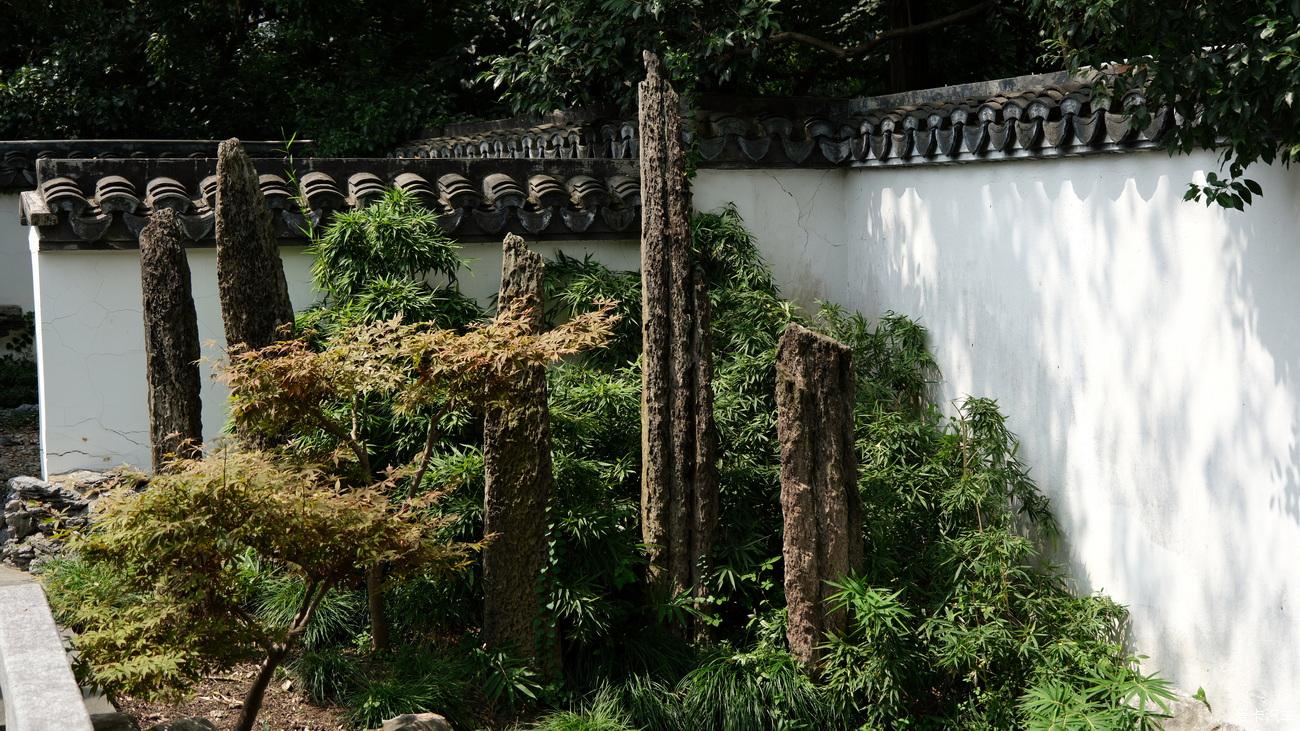 日记 吃南翔逛上海植物园【严建设】 2023年9月17日