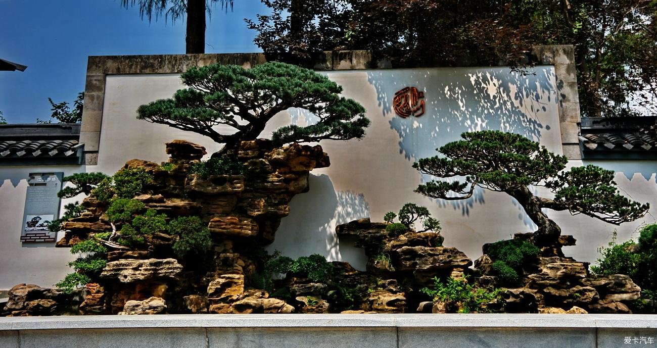 日记 吃南翔逛上海植物园【严建设】 2023年9月17日