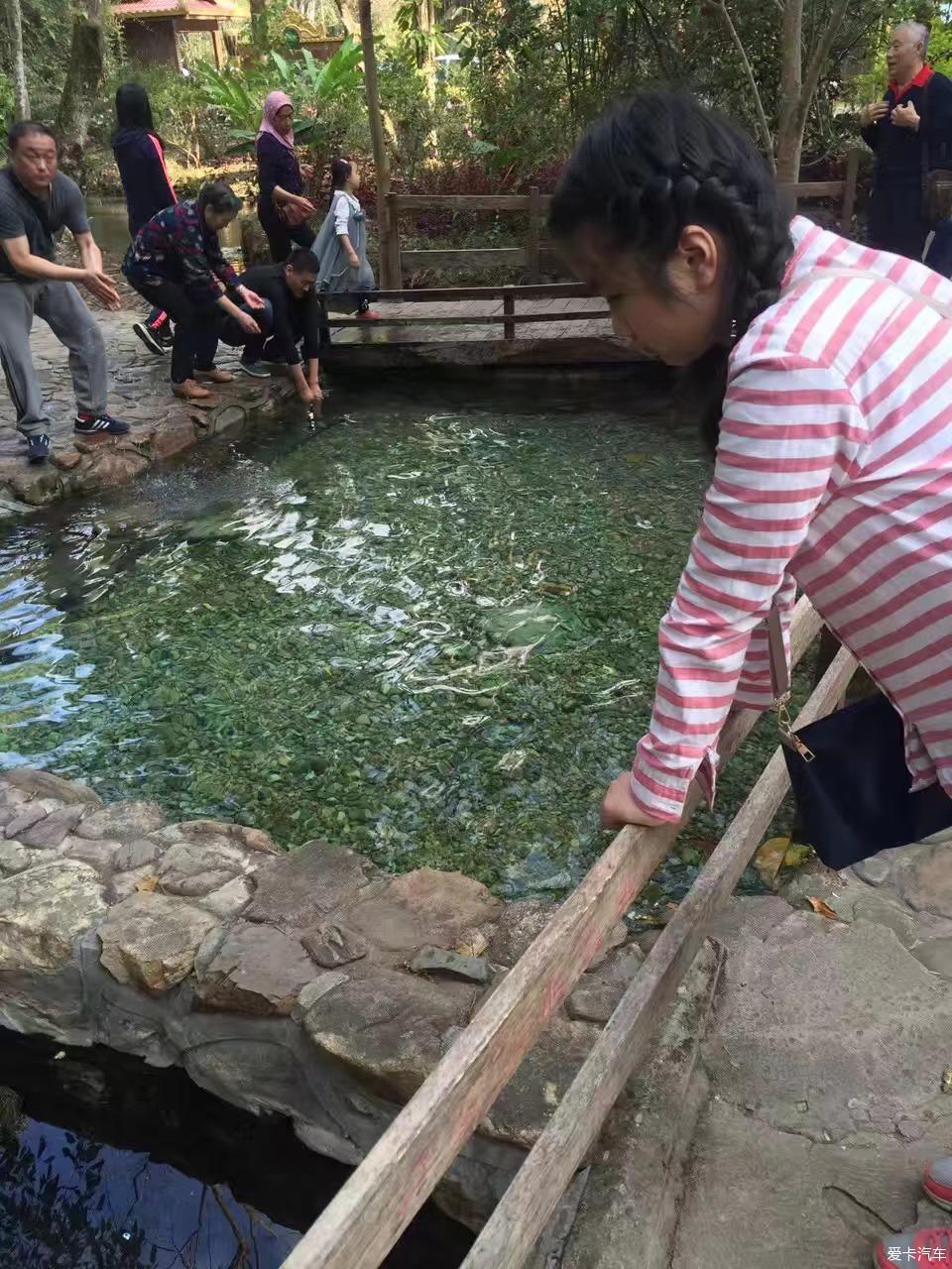 点击进入图库