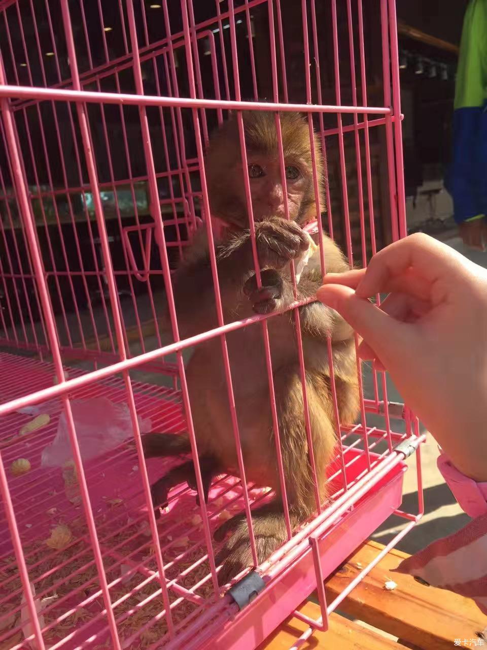 点击进入图库