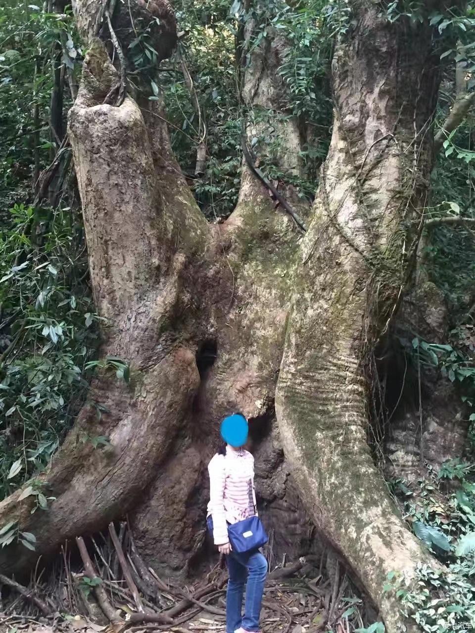 点击进入图库
