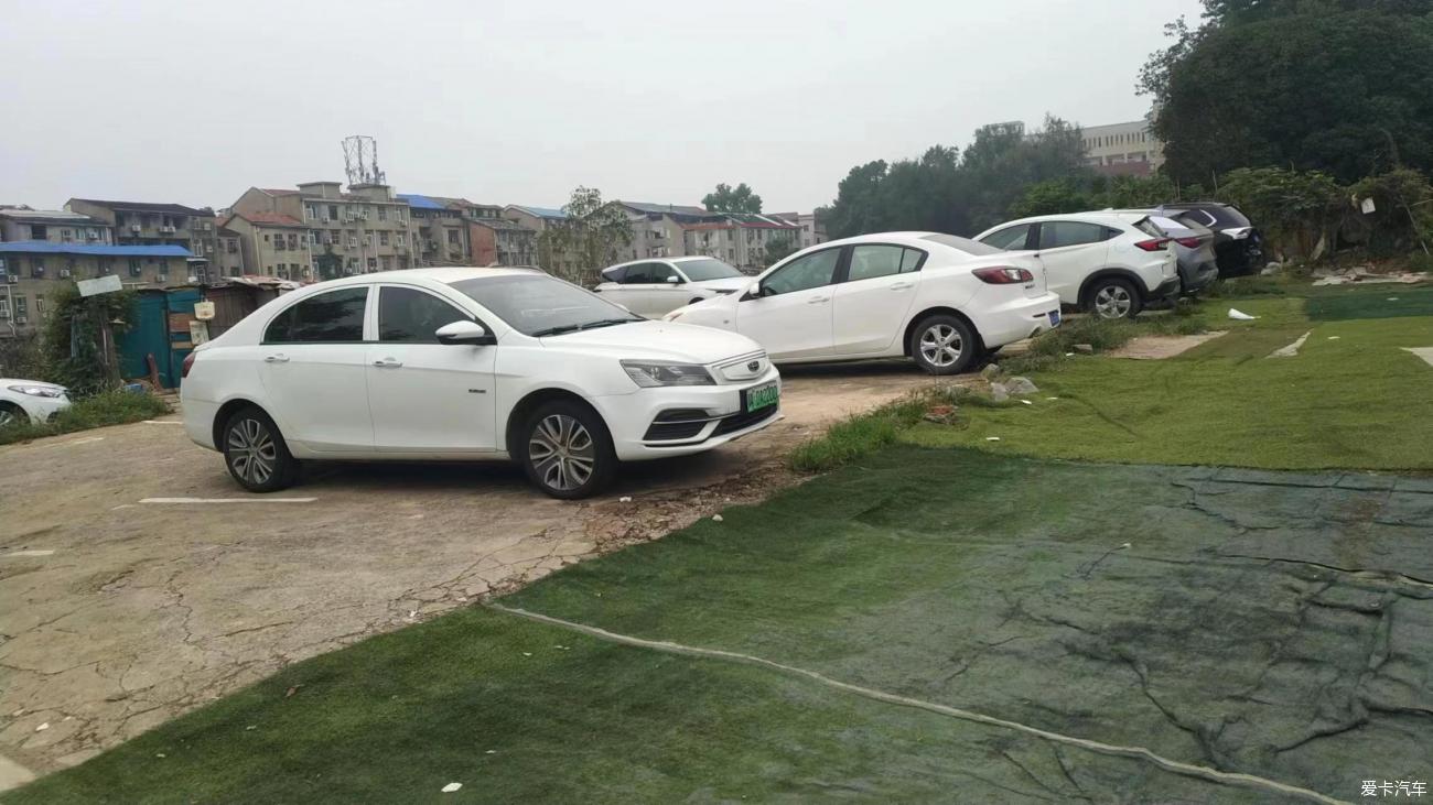 探访鲁磨路毕阁山的菜地