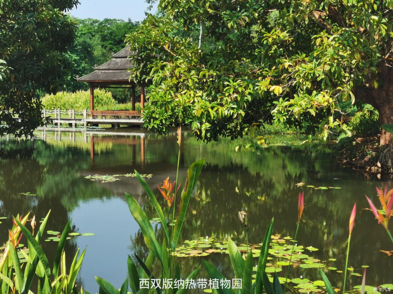 2023放飞自我的旅行——之三:‘风情万种’的西双版纳