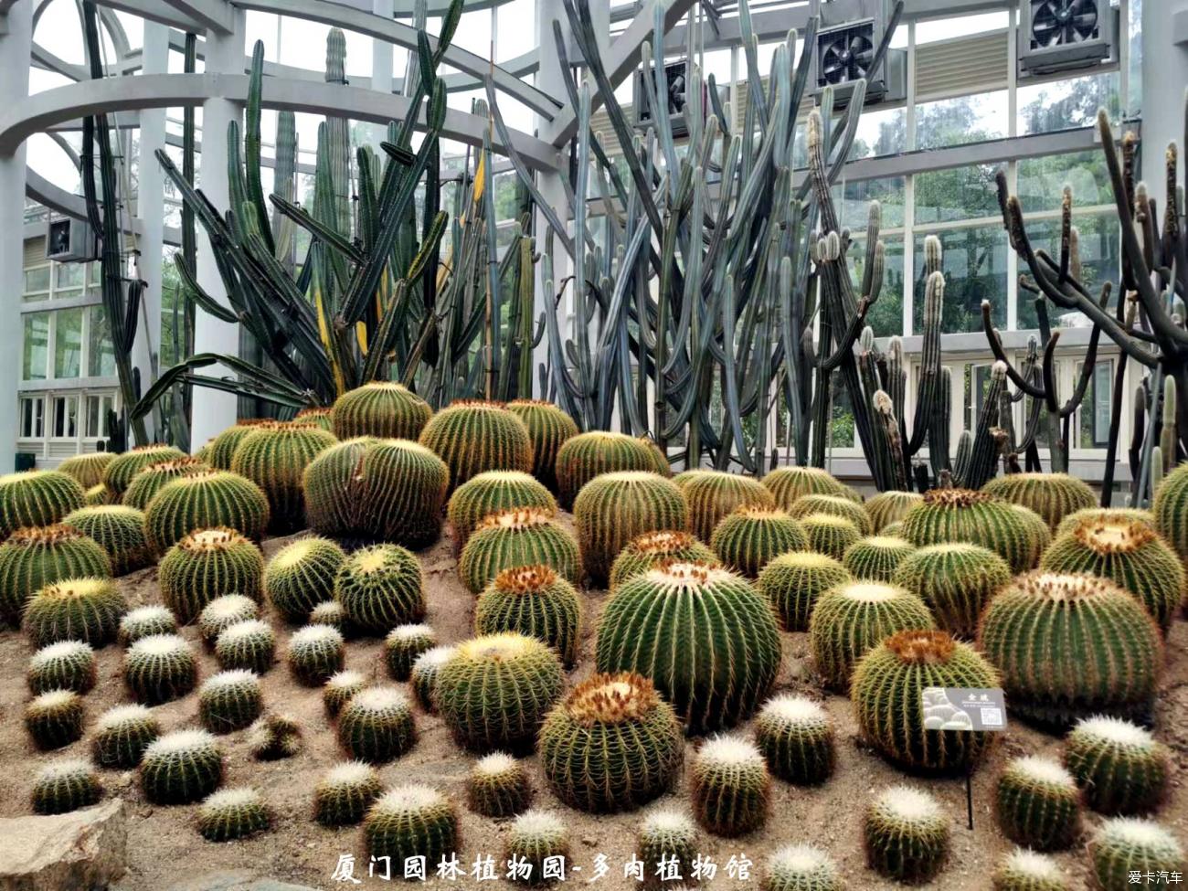 2023放飞自我的旅行——之三:‘风情万种’的西双版纳