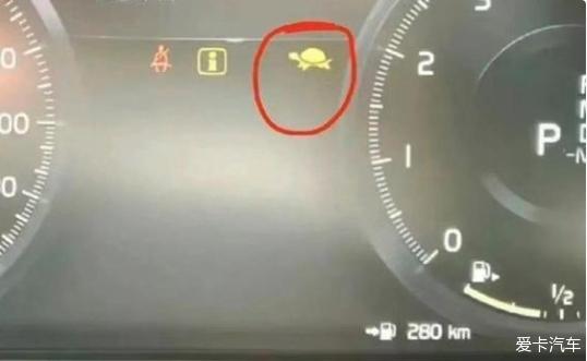 请问这个乌龟是什么意思？？？