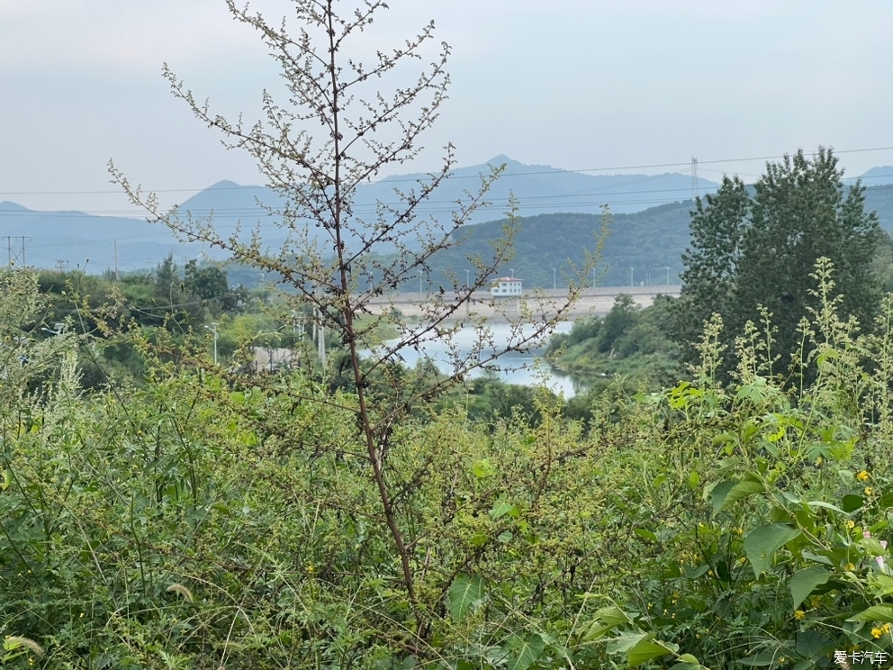 杨庄水库