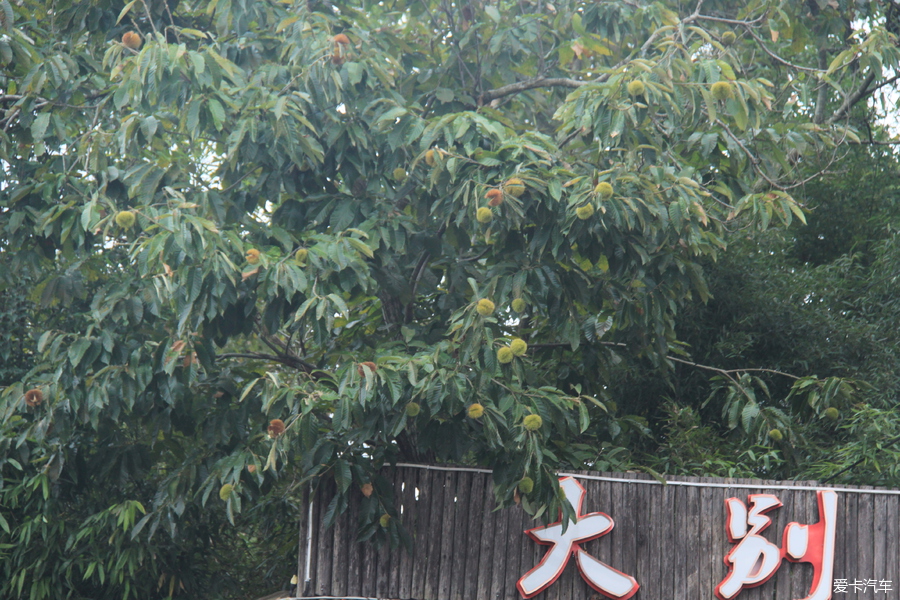 锦绣山庄