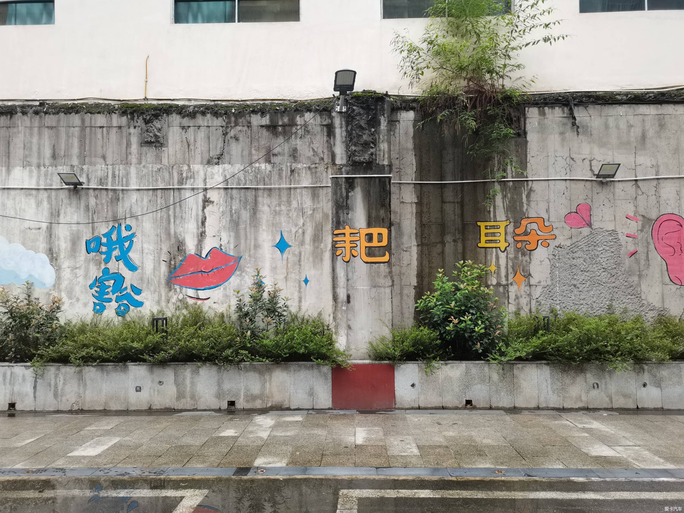总要打个卡吧