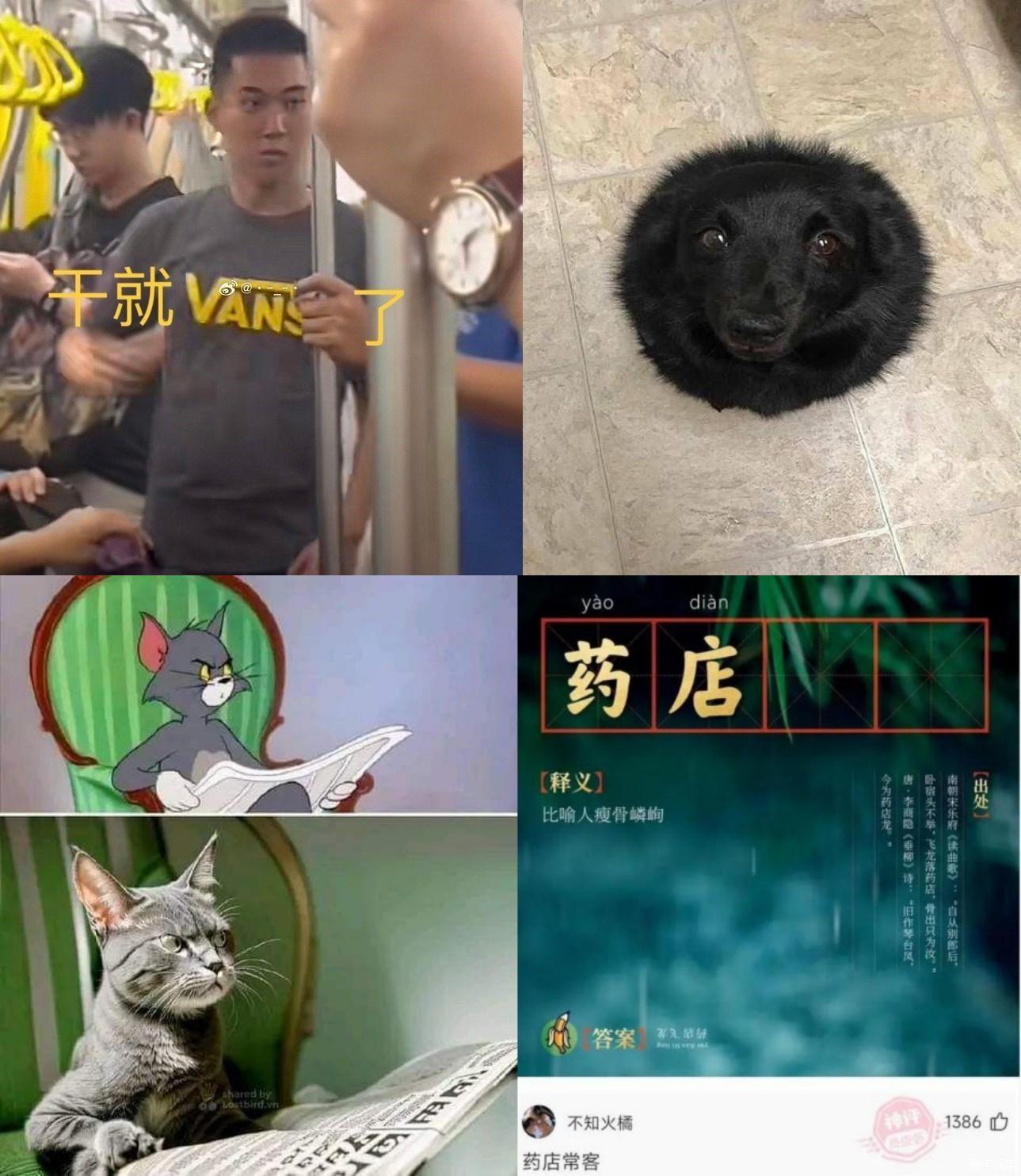 凭啥说我老公胖!