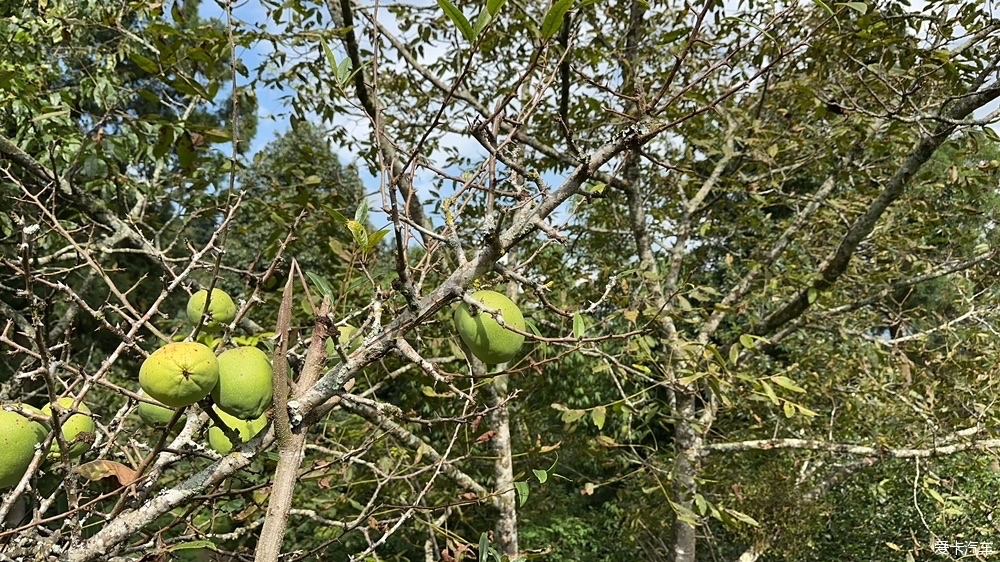 第十八次自驾西藏-经藏入疆