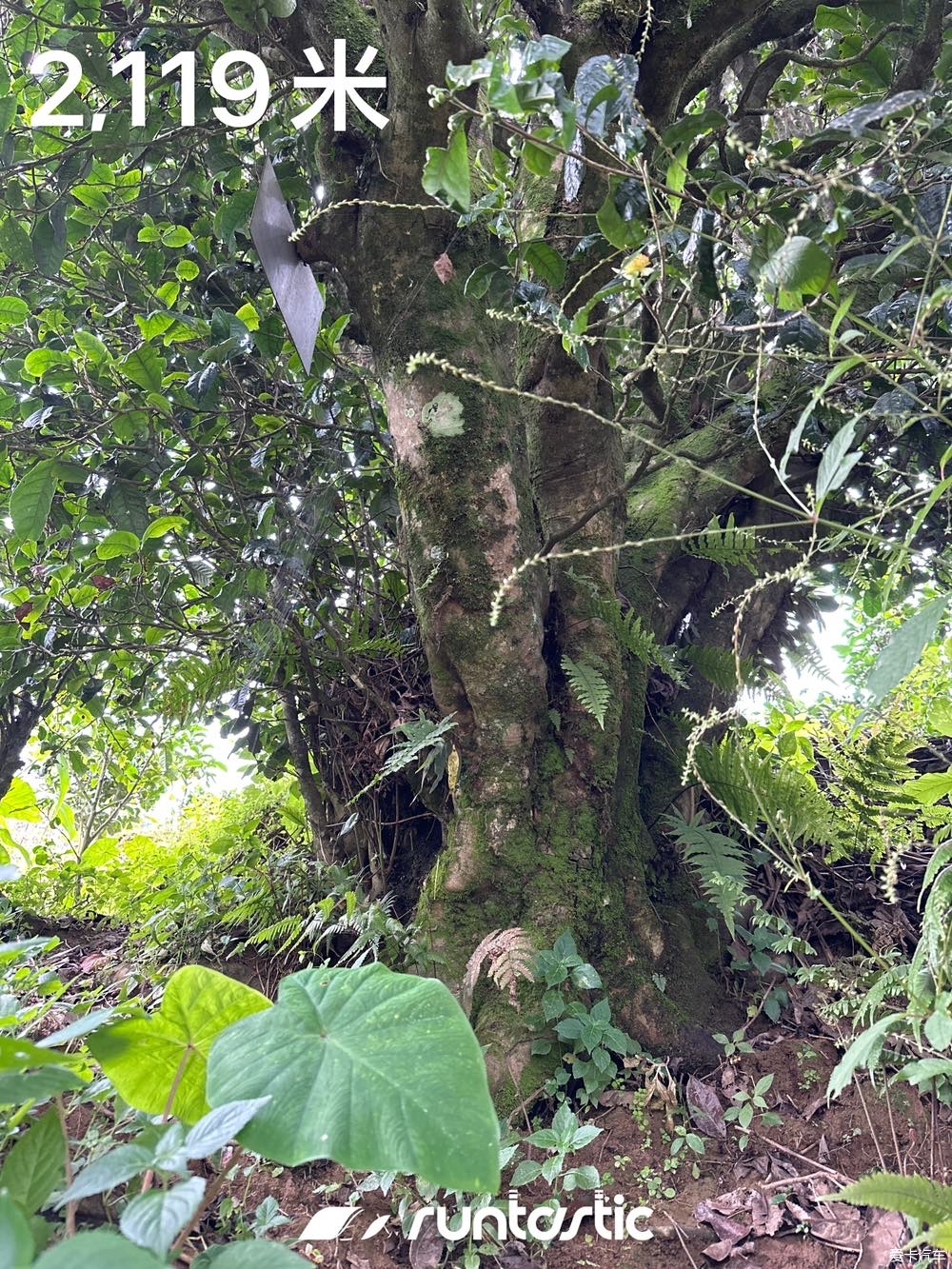 第十八次自驾西藏-经藏入疆