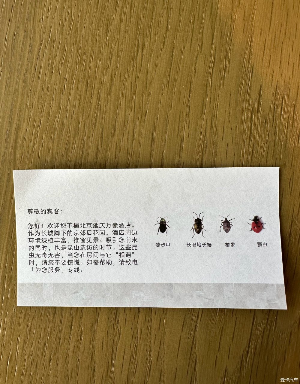 蛋蛋秋天的的享受