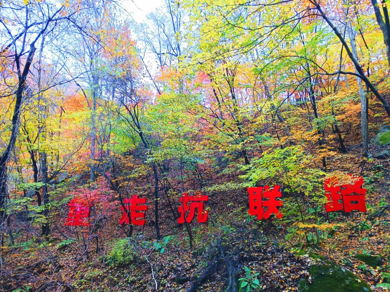 2023.10.15本溪大冰沟枫景