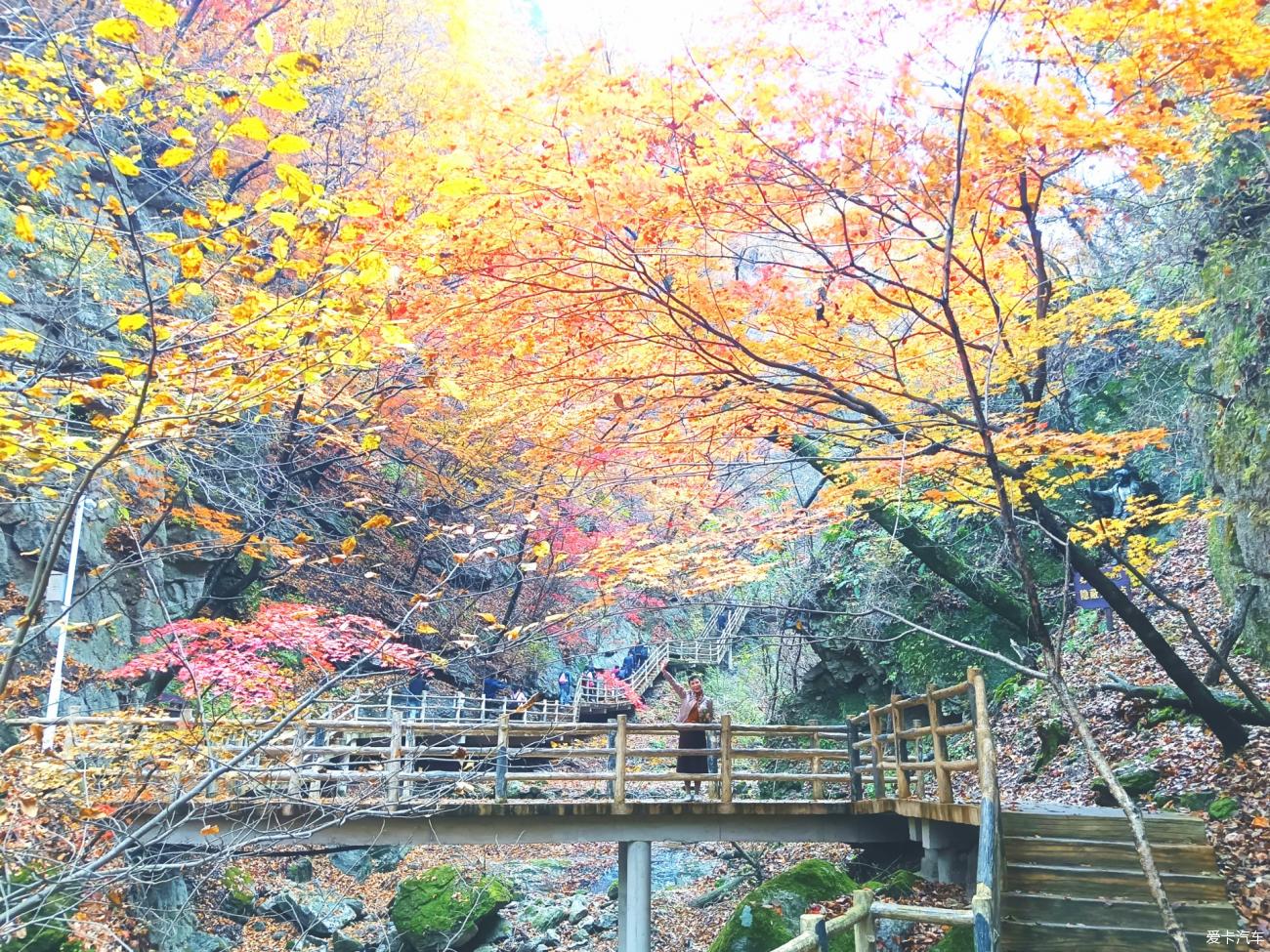 2023.10.15本溪大冰沟枫景