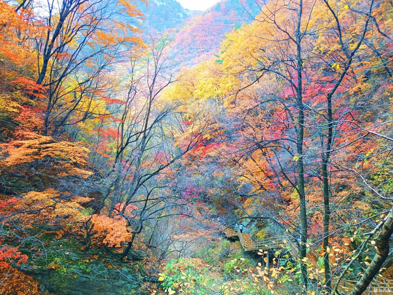 2023.10.15本溪大冰沟枫景