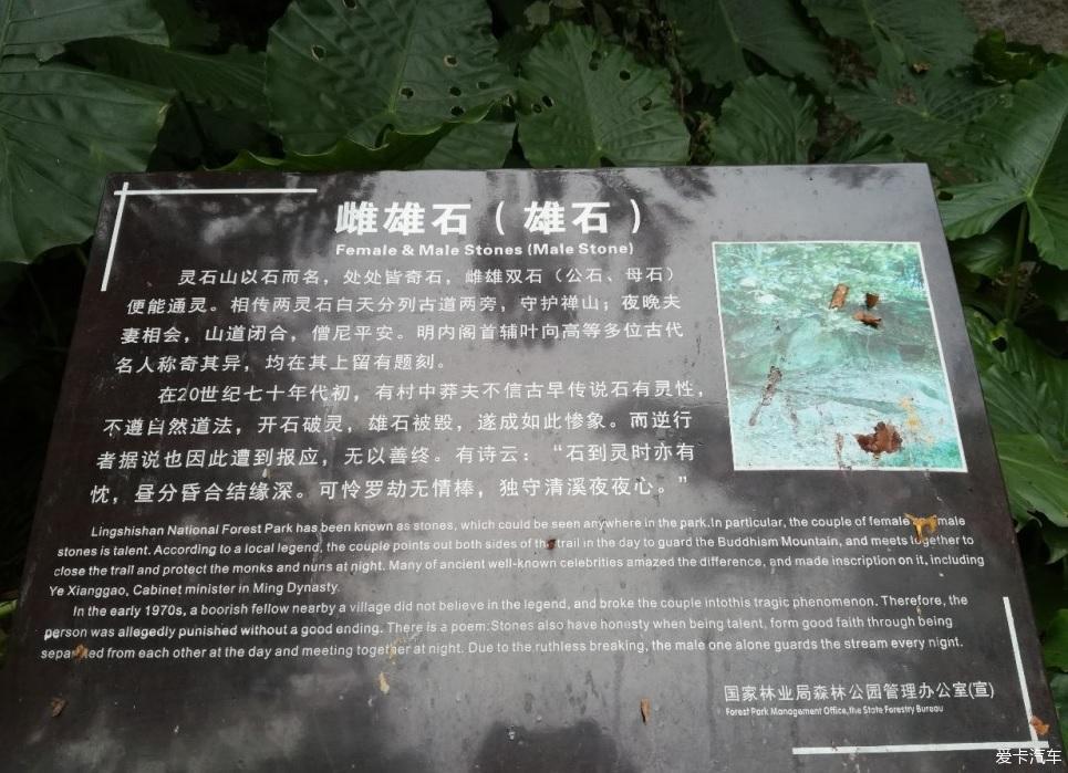 点击进入图库