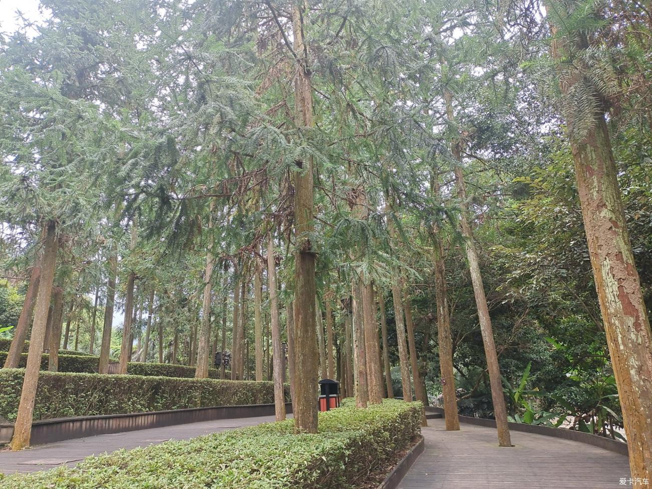 点击进入图库