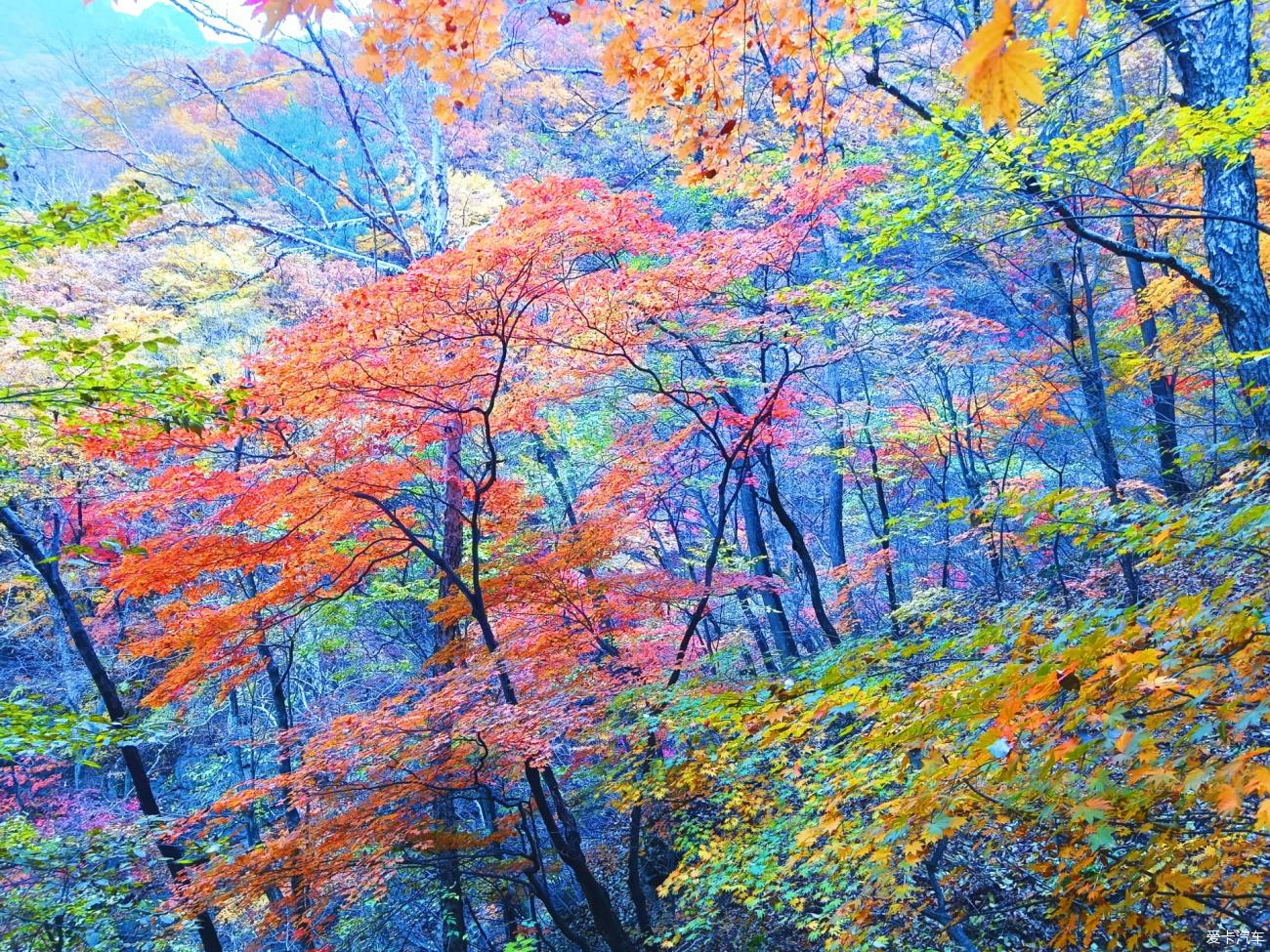2023.10.15本溪大冰沟枫景