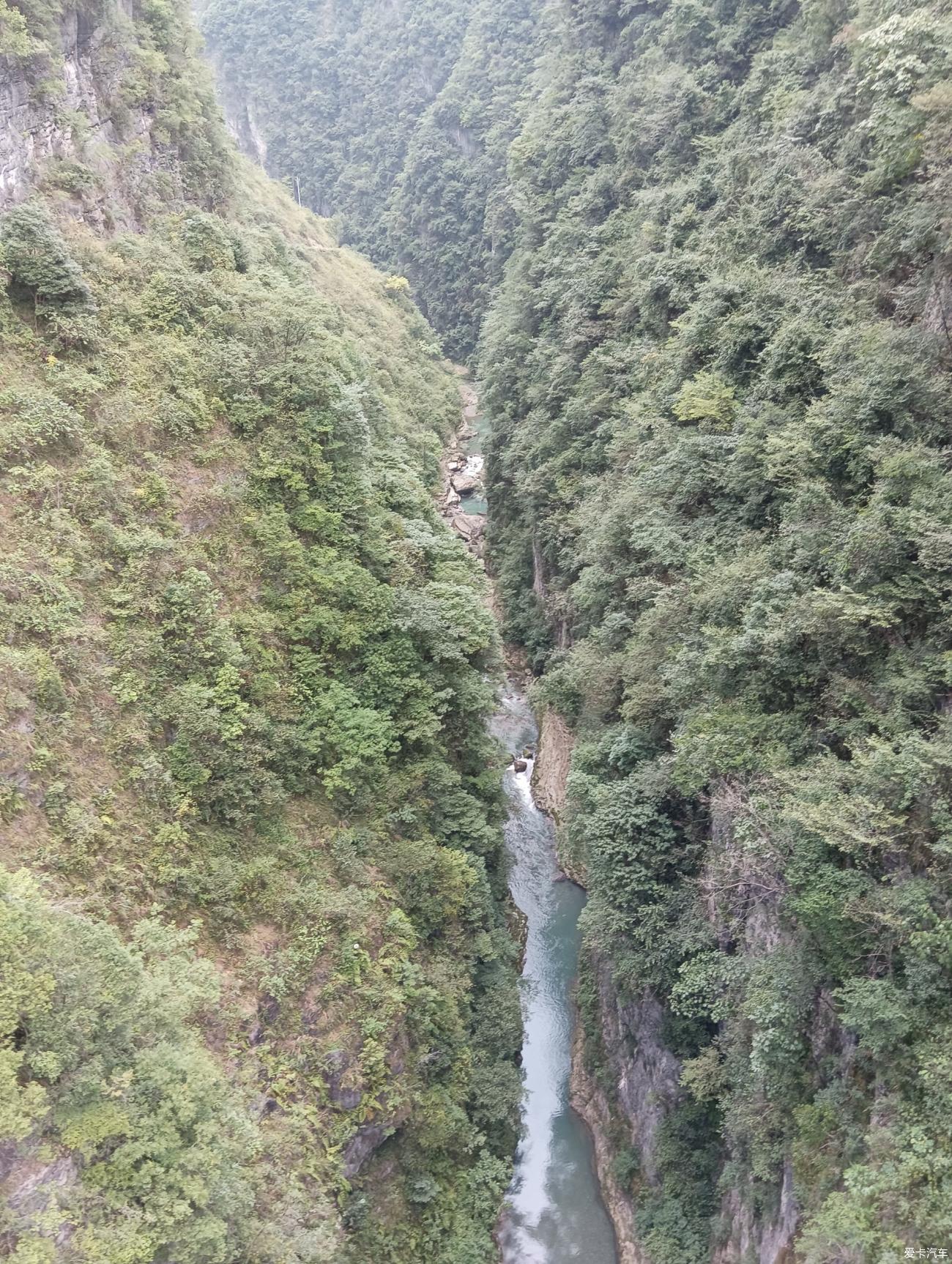 点击进入图库