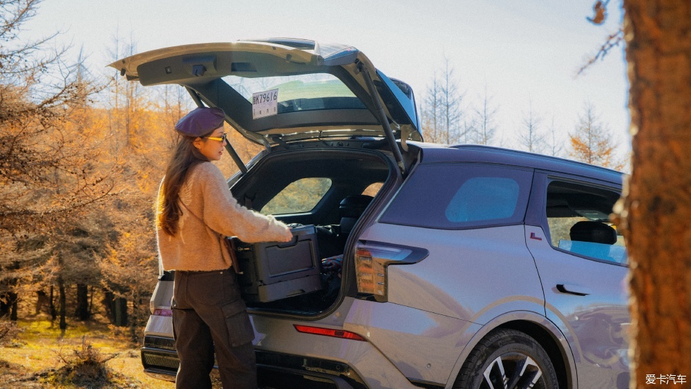 Cross-border female car owner