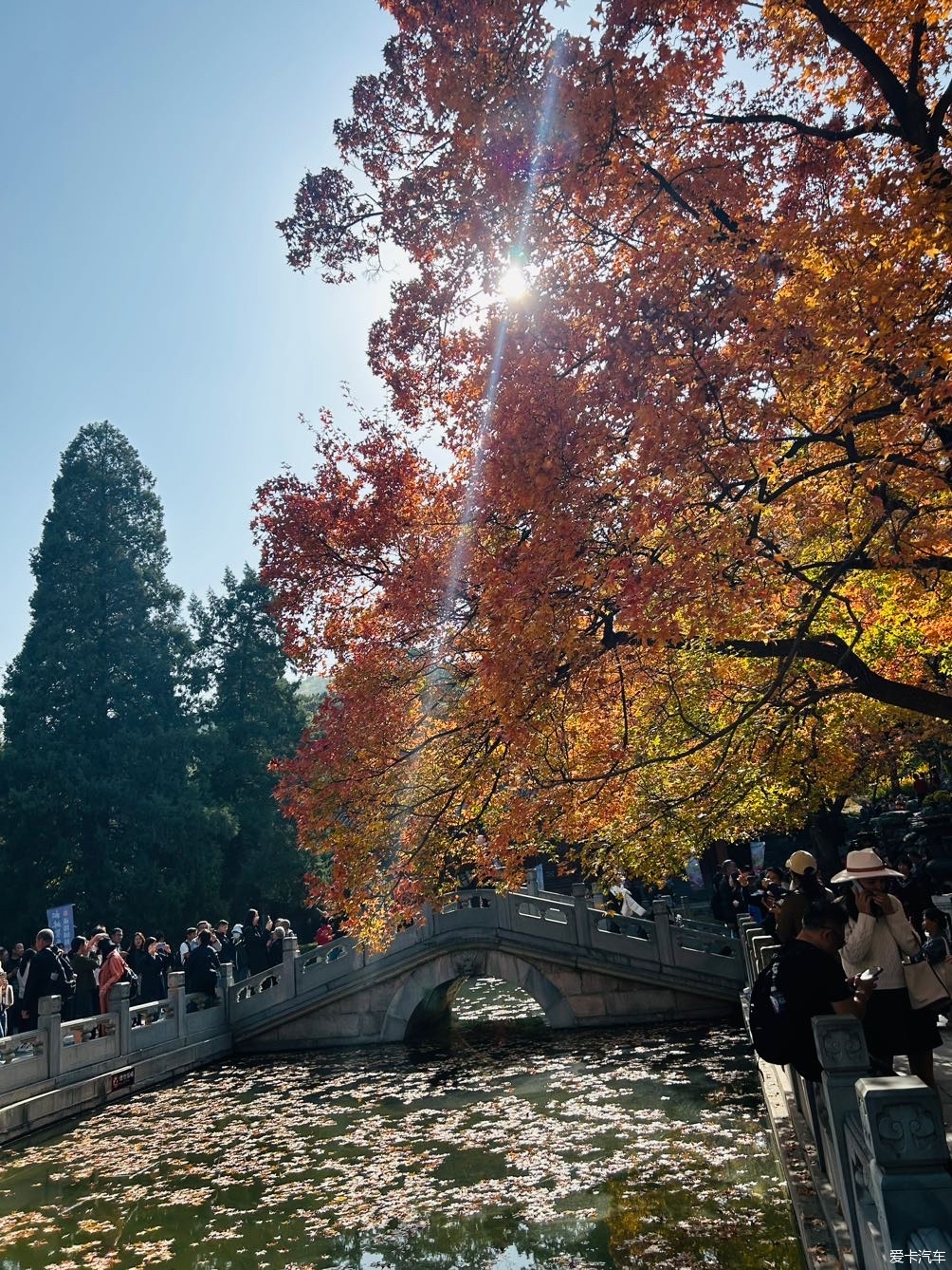 北京香山公园游玩图片