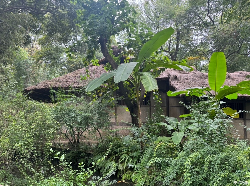 杜甫草堂 茅草屋图片