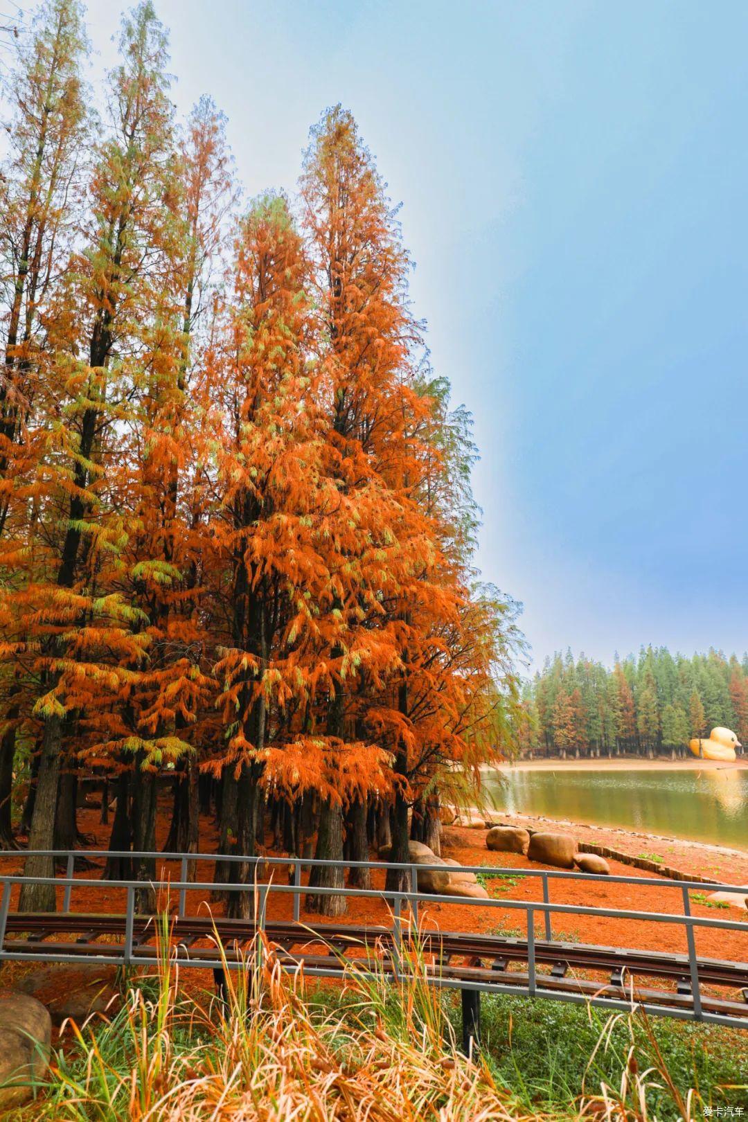 【比拼】如入油画，感受秋景，走进兰溪兰湖秋天童话世界里