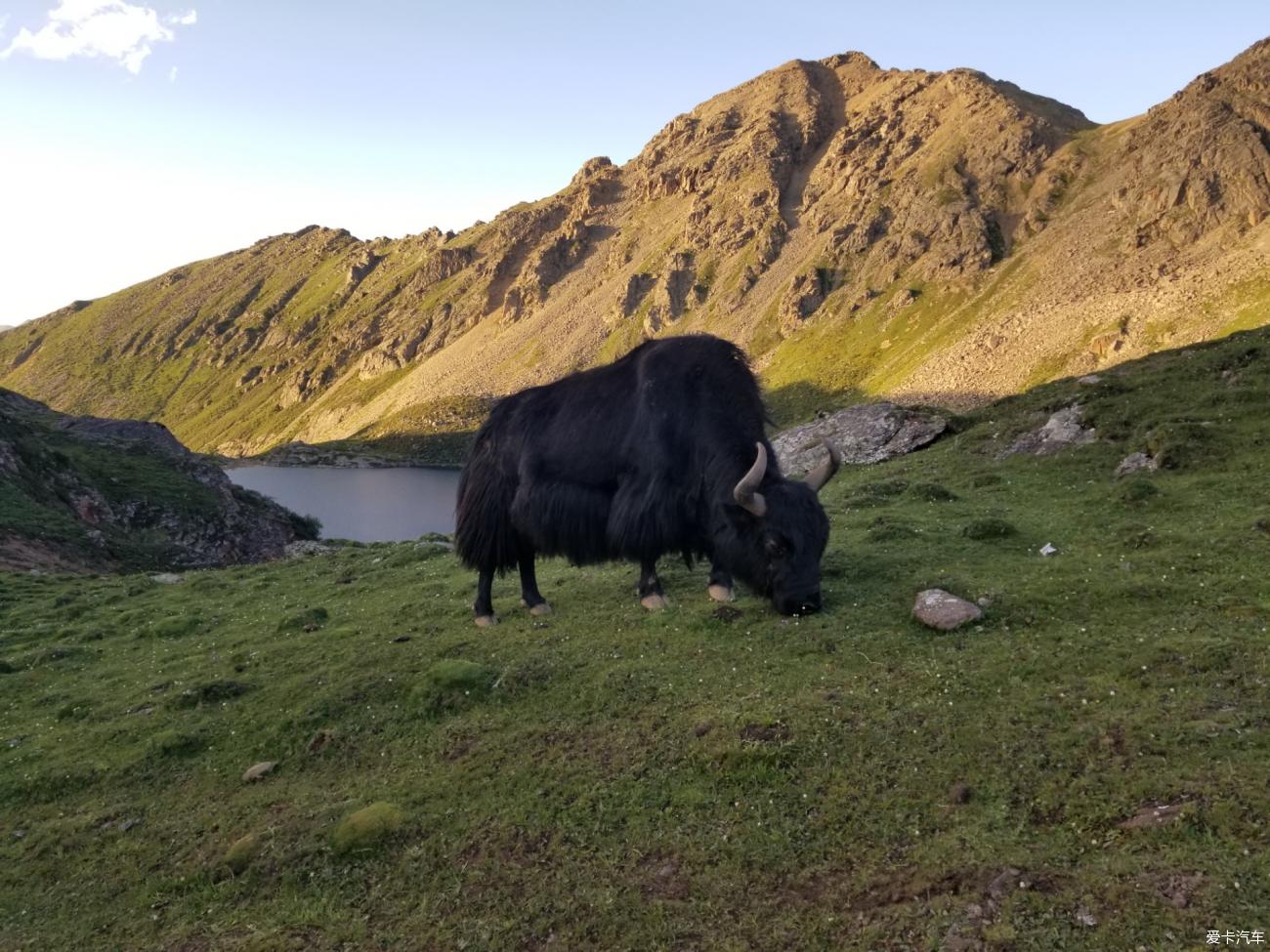 20-year-old Buick Sail’s journey to Tibet 10— Encountering Tongtong Sanlian Lake by chance and feeling the long and narrow Dege City