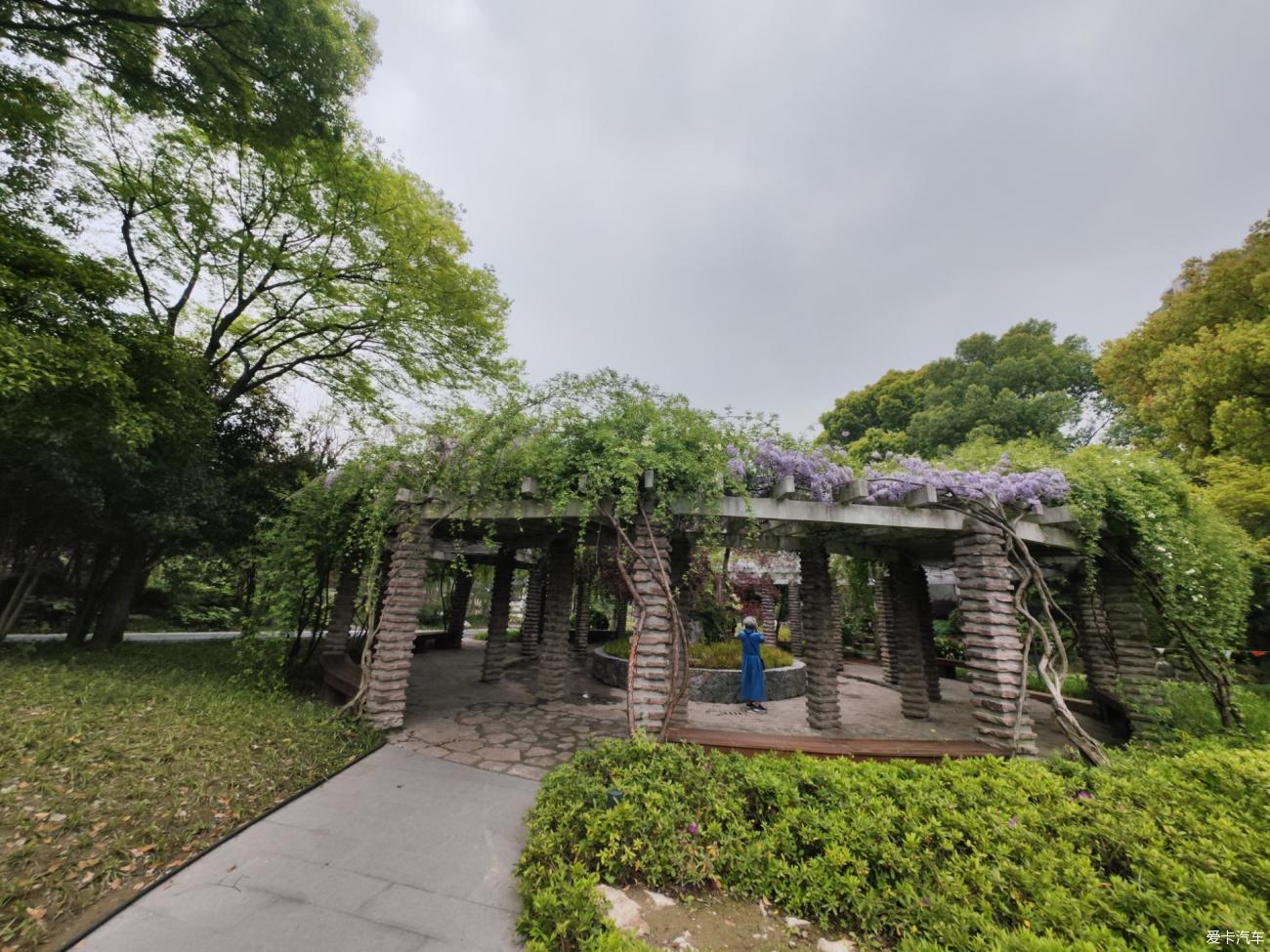 点击进入图库