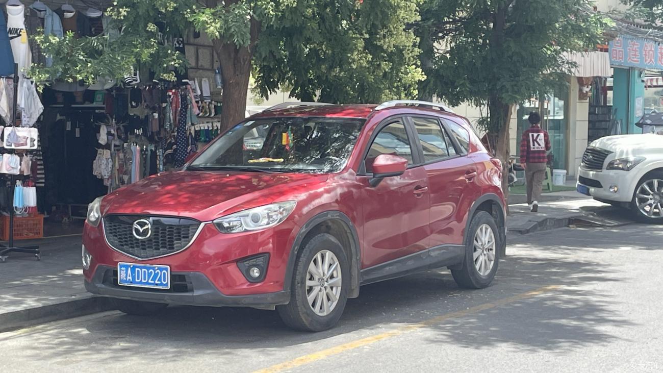 Driving in Tibet Day 9 with my daughter : Linzhi went to Lhasa and finally saw the Potala Palace