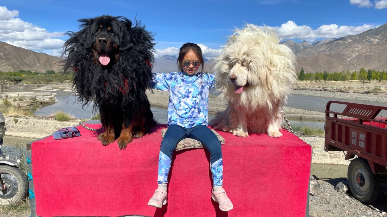 Self-driving Tibet with my daughter Day 10: Lhasa-Yanghu Lake -Rituo Temple-Starring Wen Chenggong