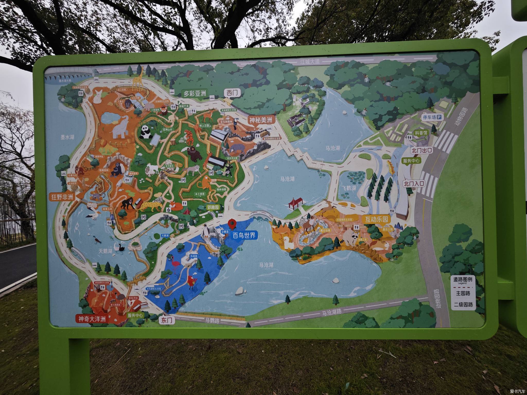 武汉动物园重新开园3