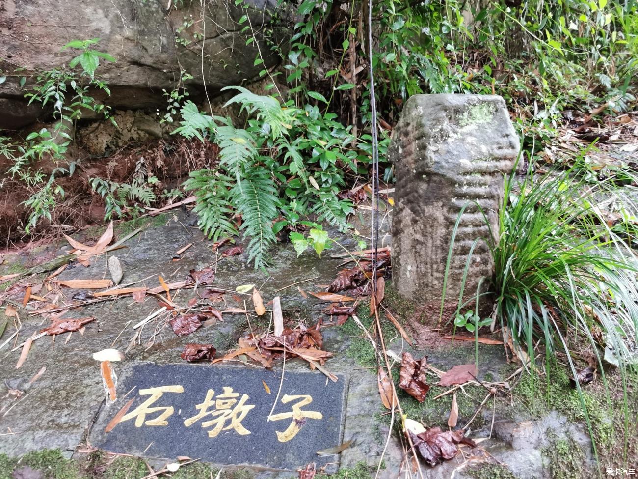 点击进入图库