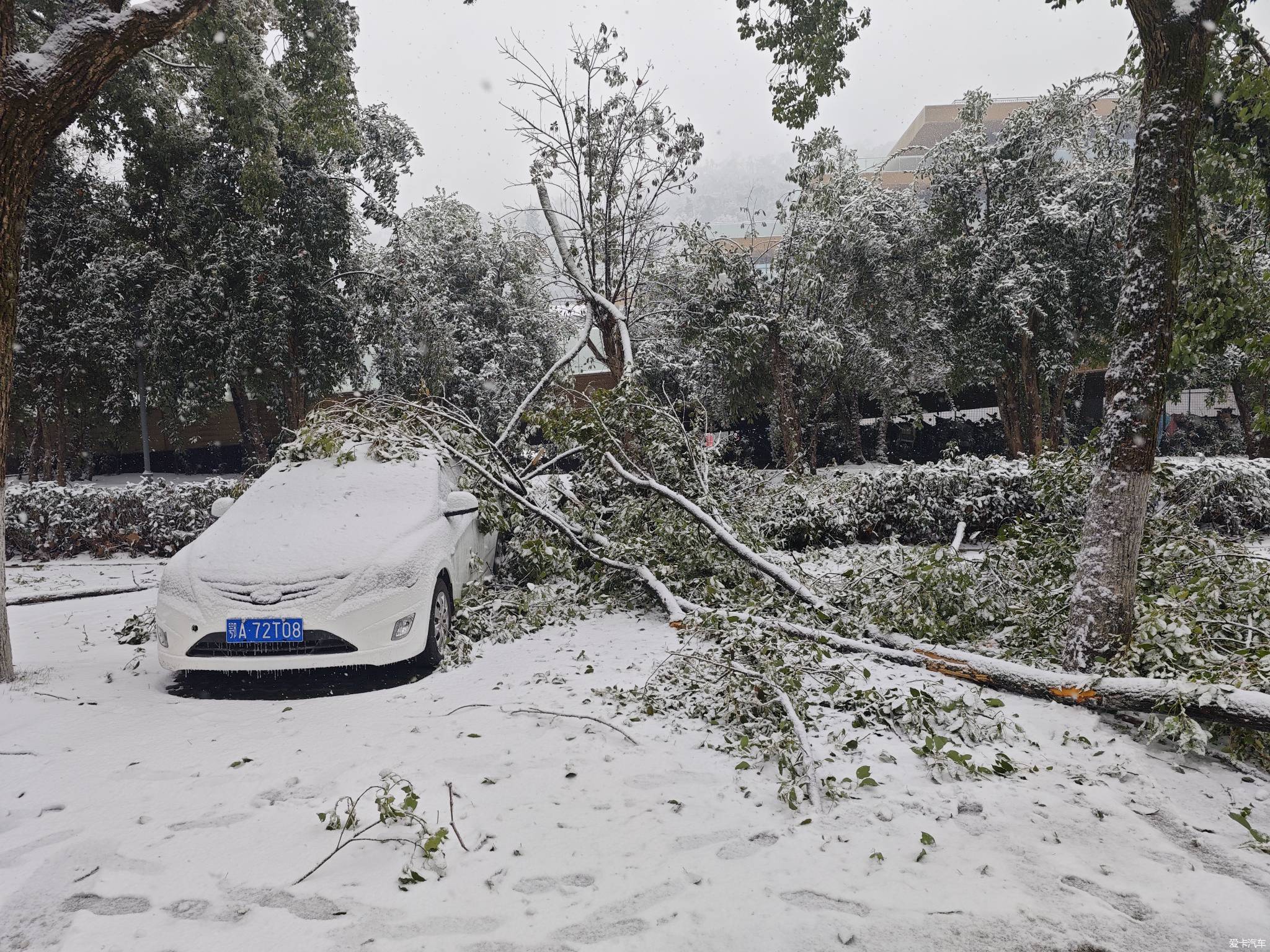 广东雪灾图片