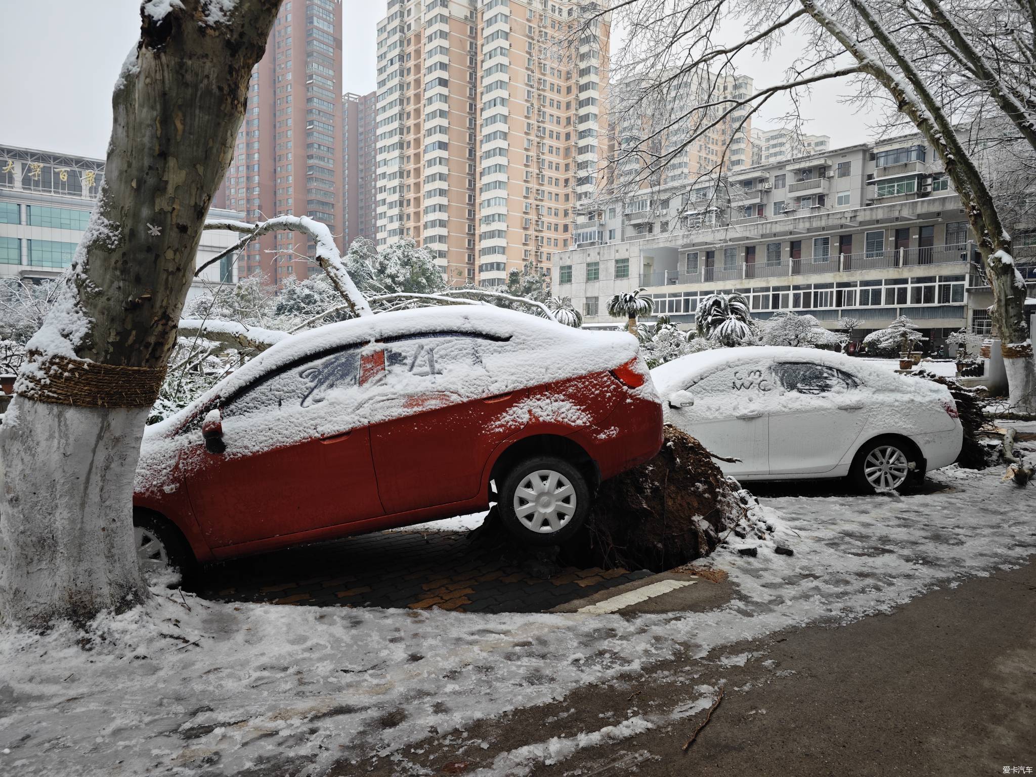 珞瑜东路沿途的雪灾严重