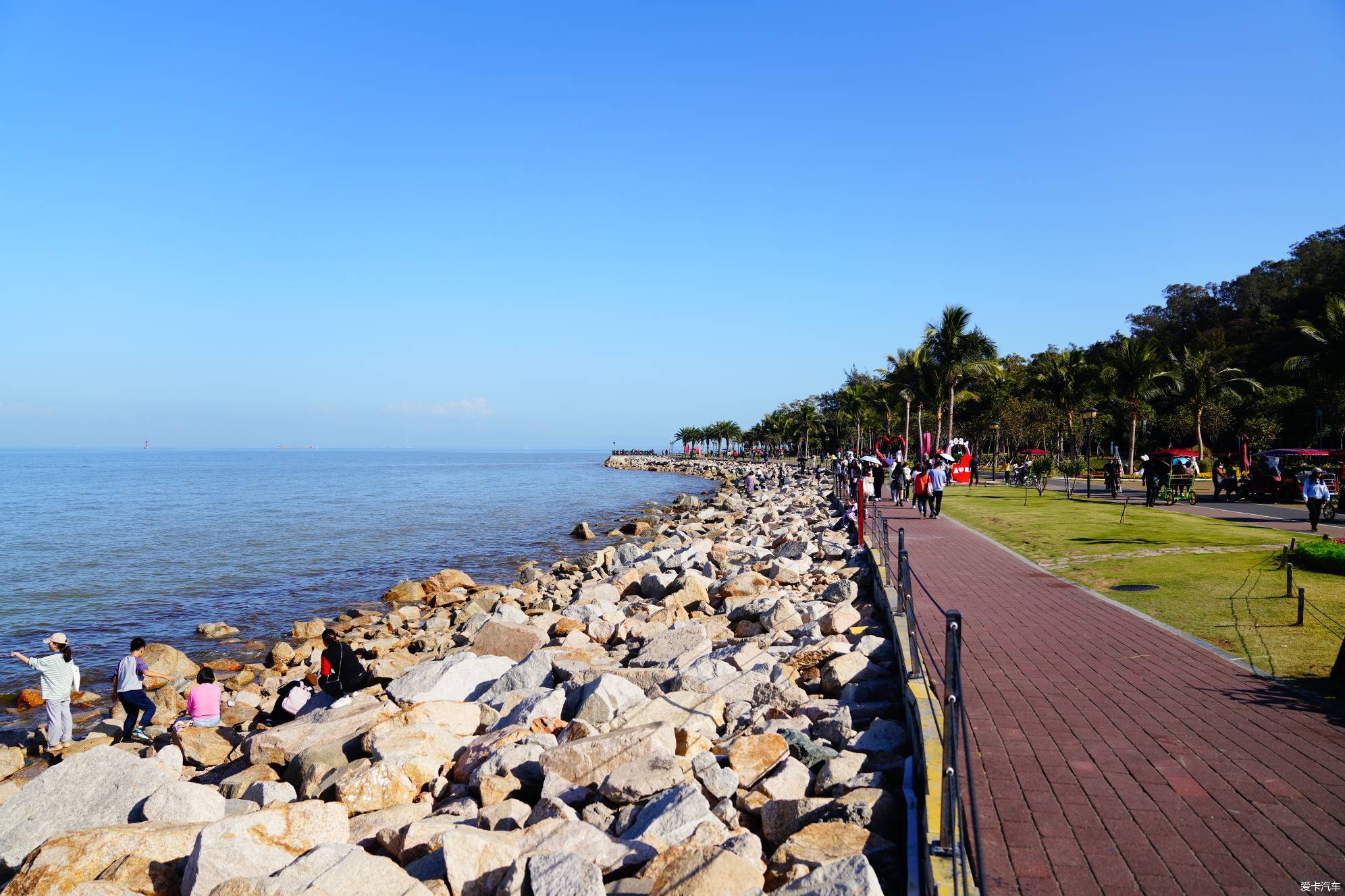 There is a wild raccoon island east of Lovers Road