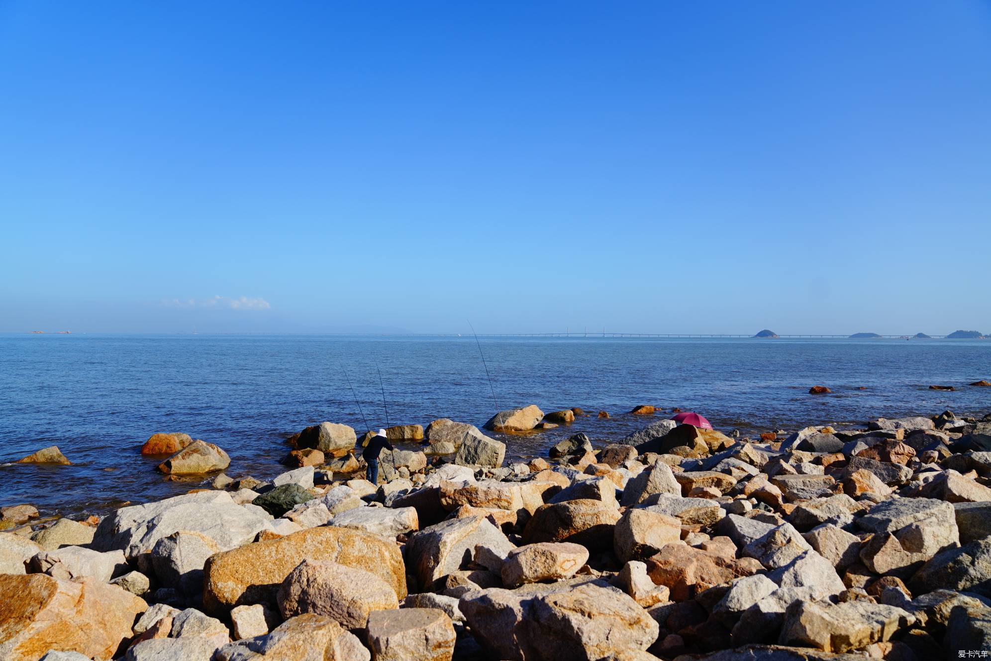 There is a wild raccoon island to the east of Lovers Road