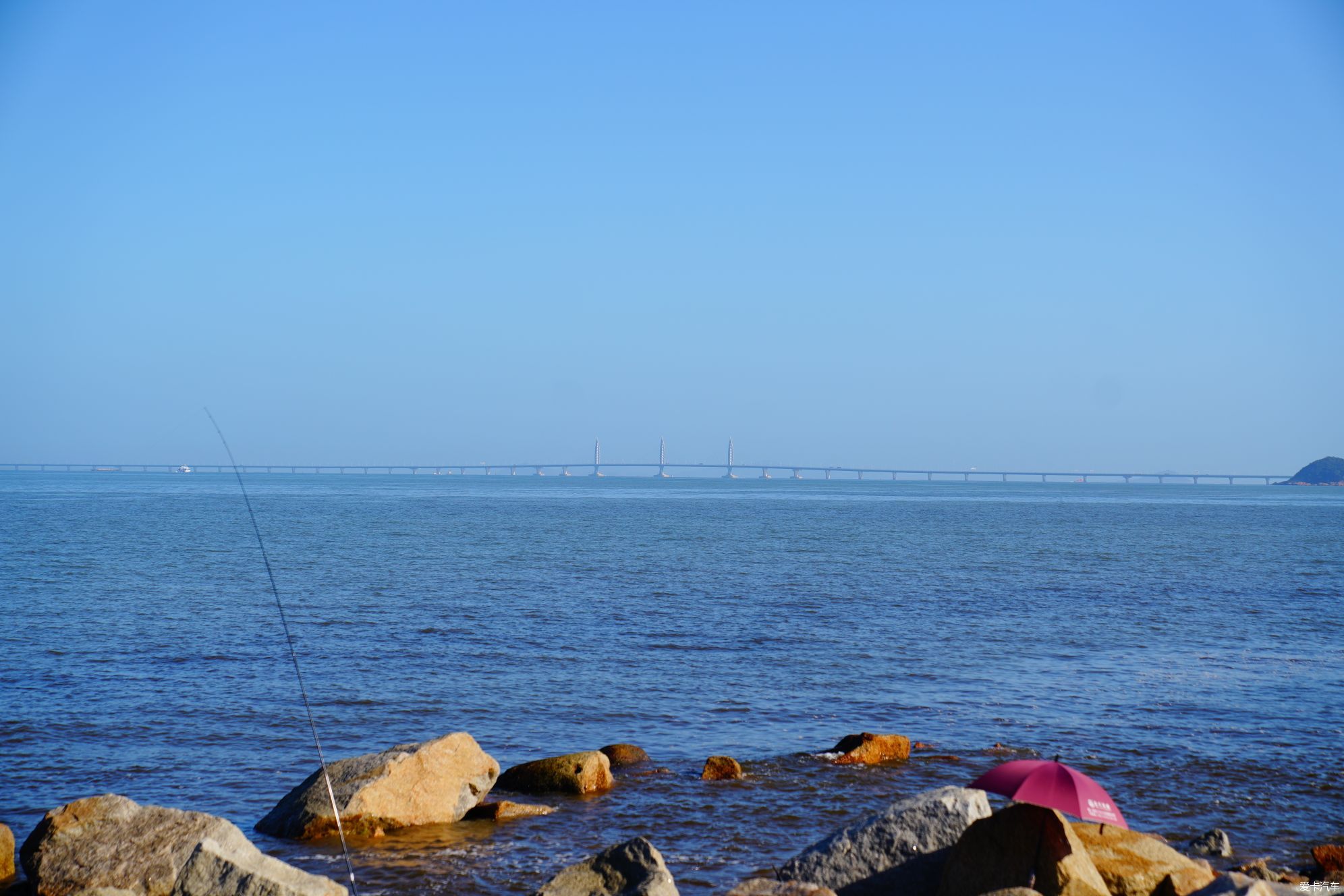 There is a wild raccoon island to the east of Lovers Road 