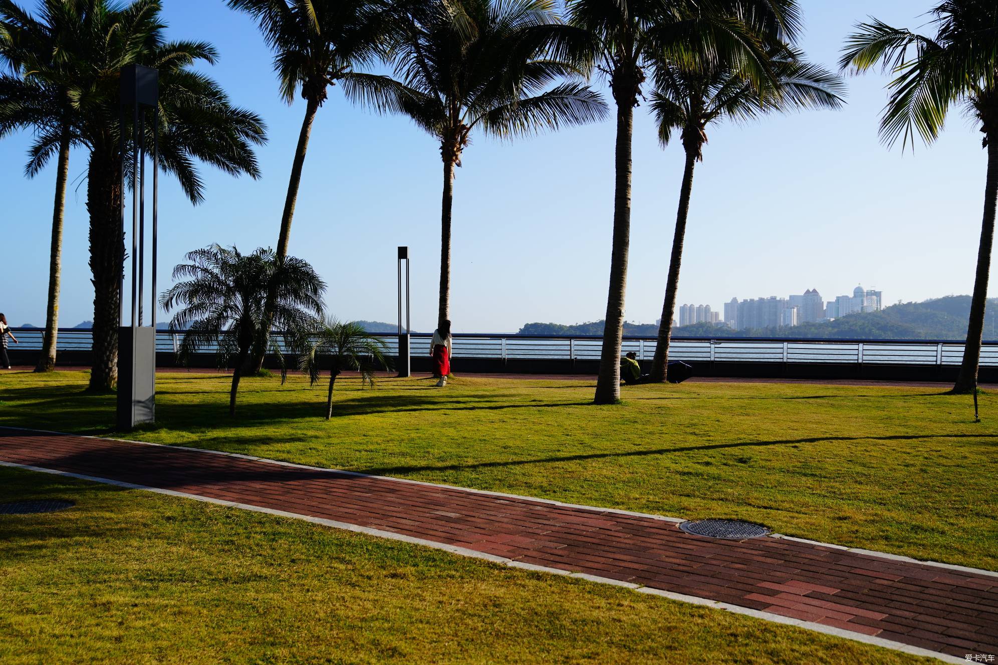 There is a wild raccoon island to the east of Lovers Road