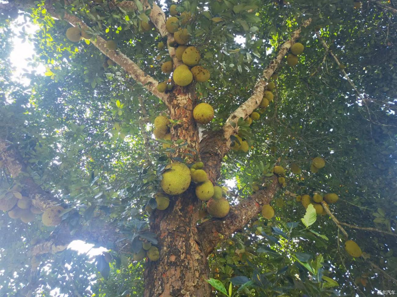 点击进入图库