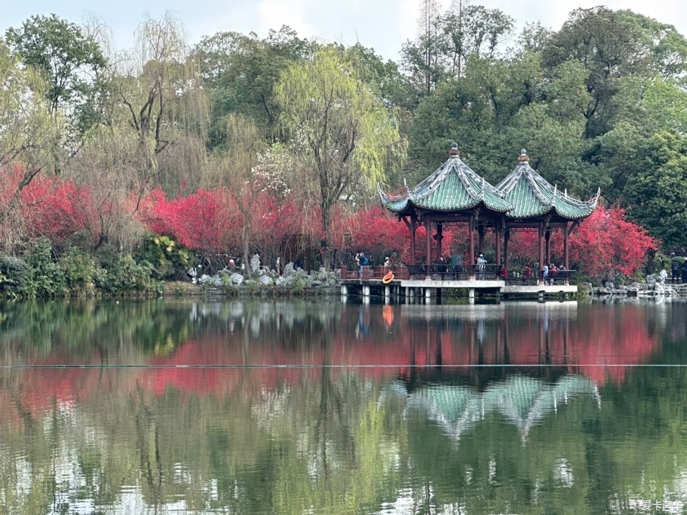 棠湖公园门票图片