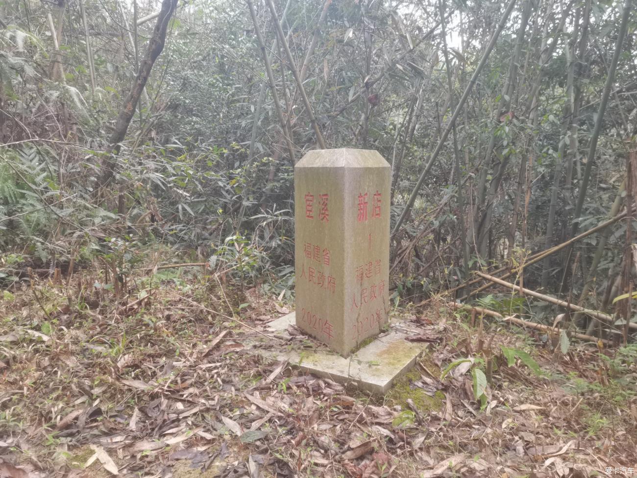 点击进入图库