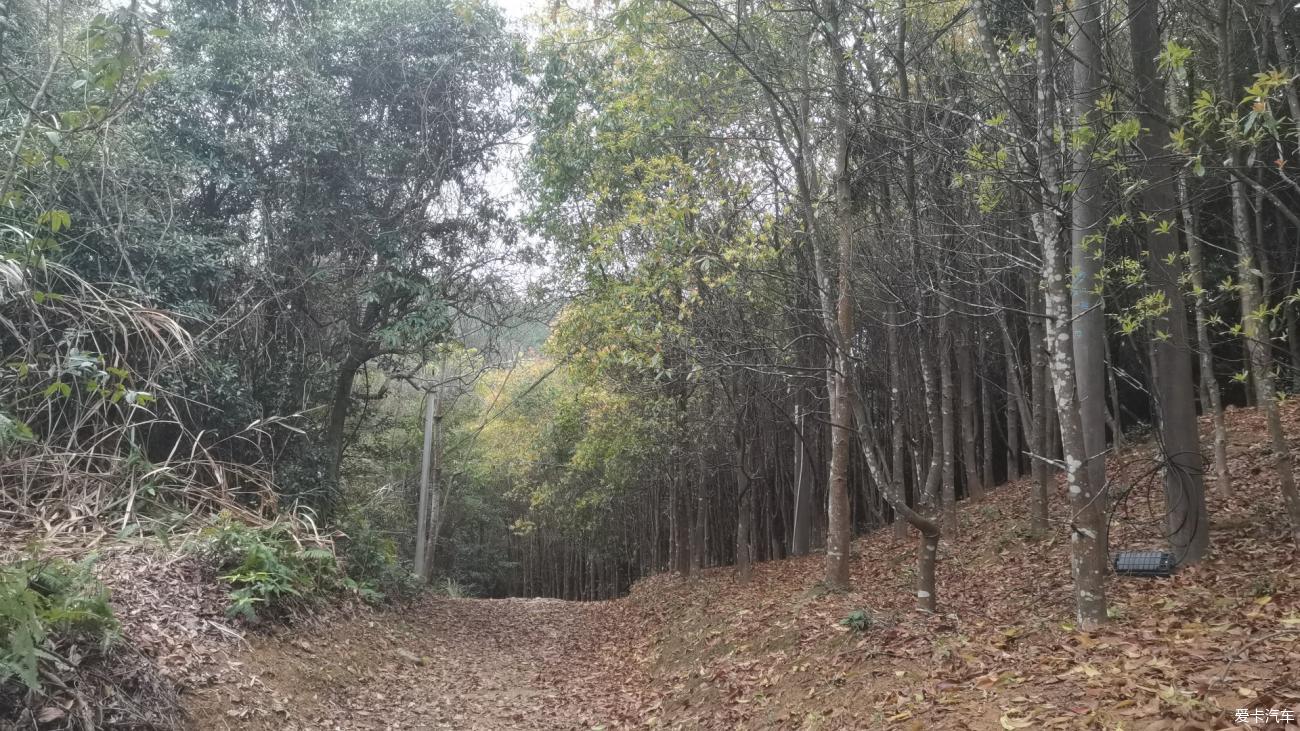 点击进入图库