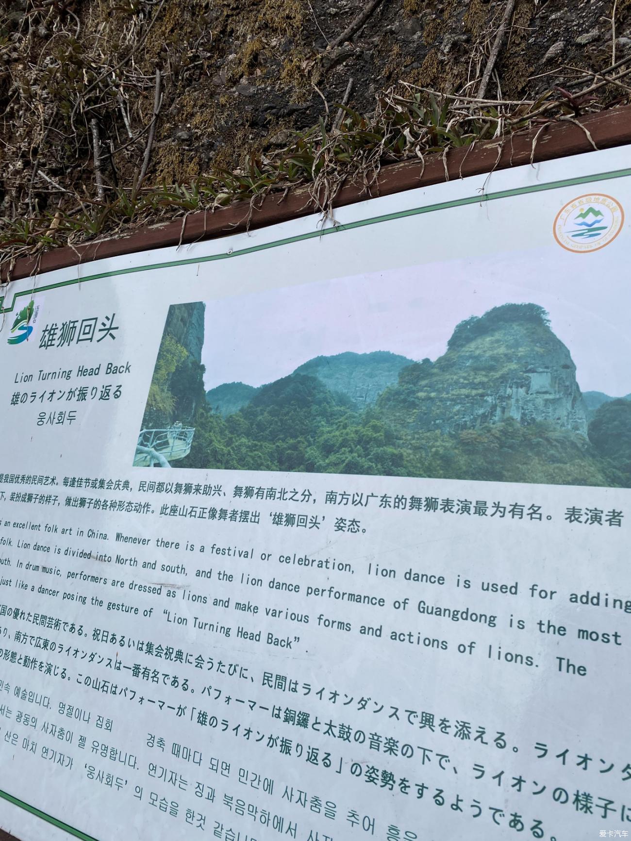 点击进入图库