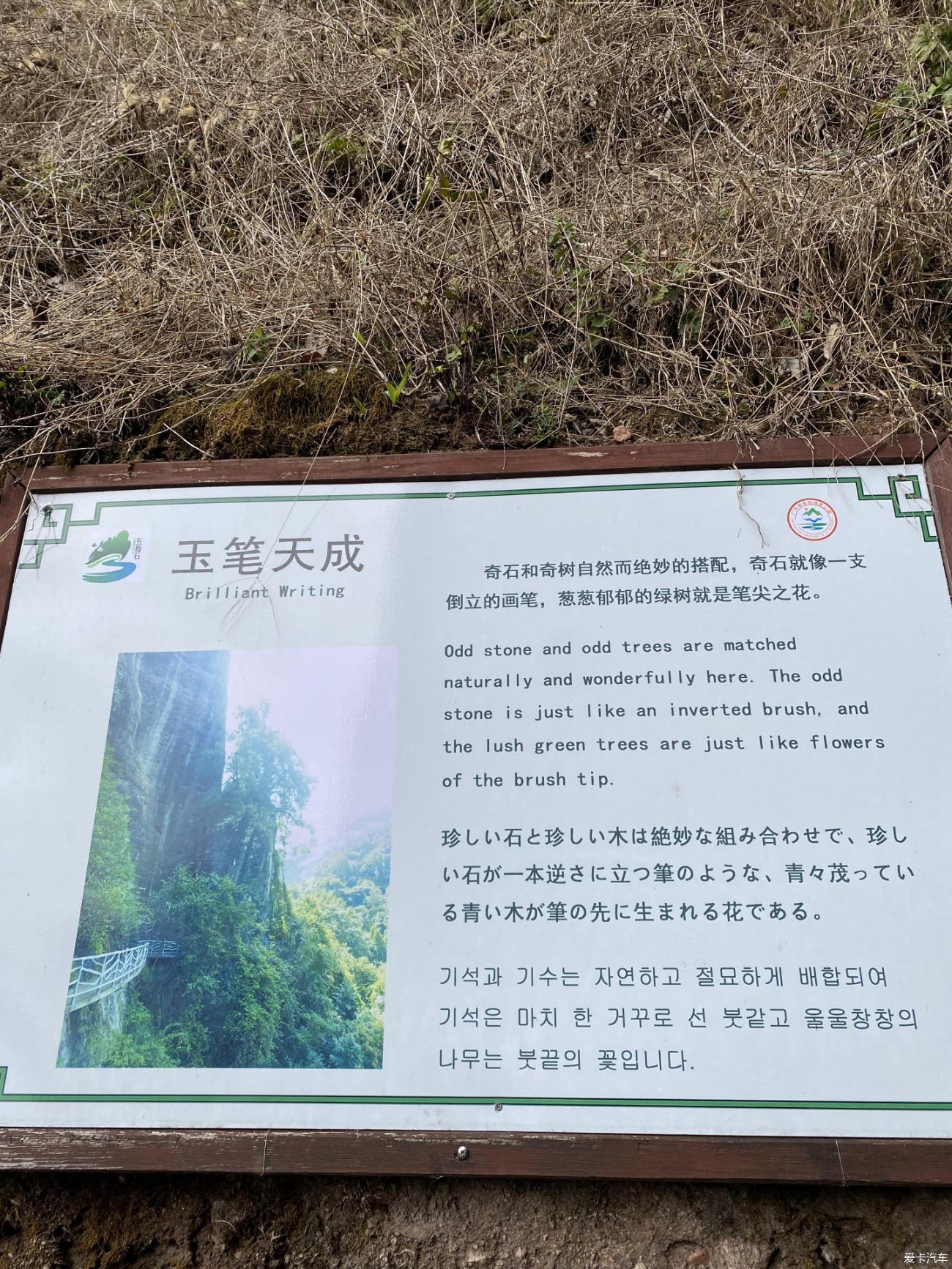 点击进入图库