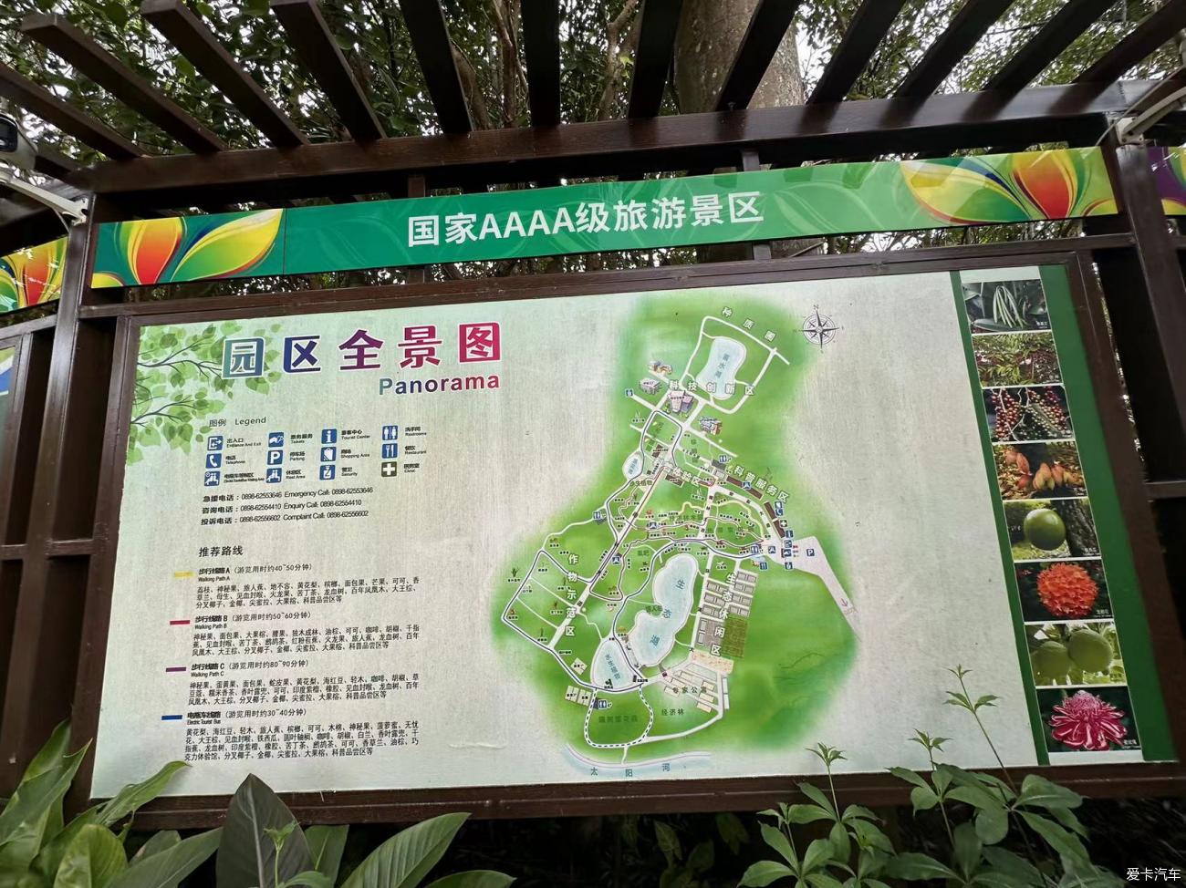 兴隆热带植物园全景图图片