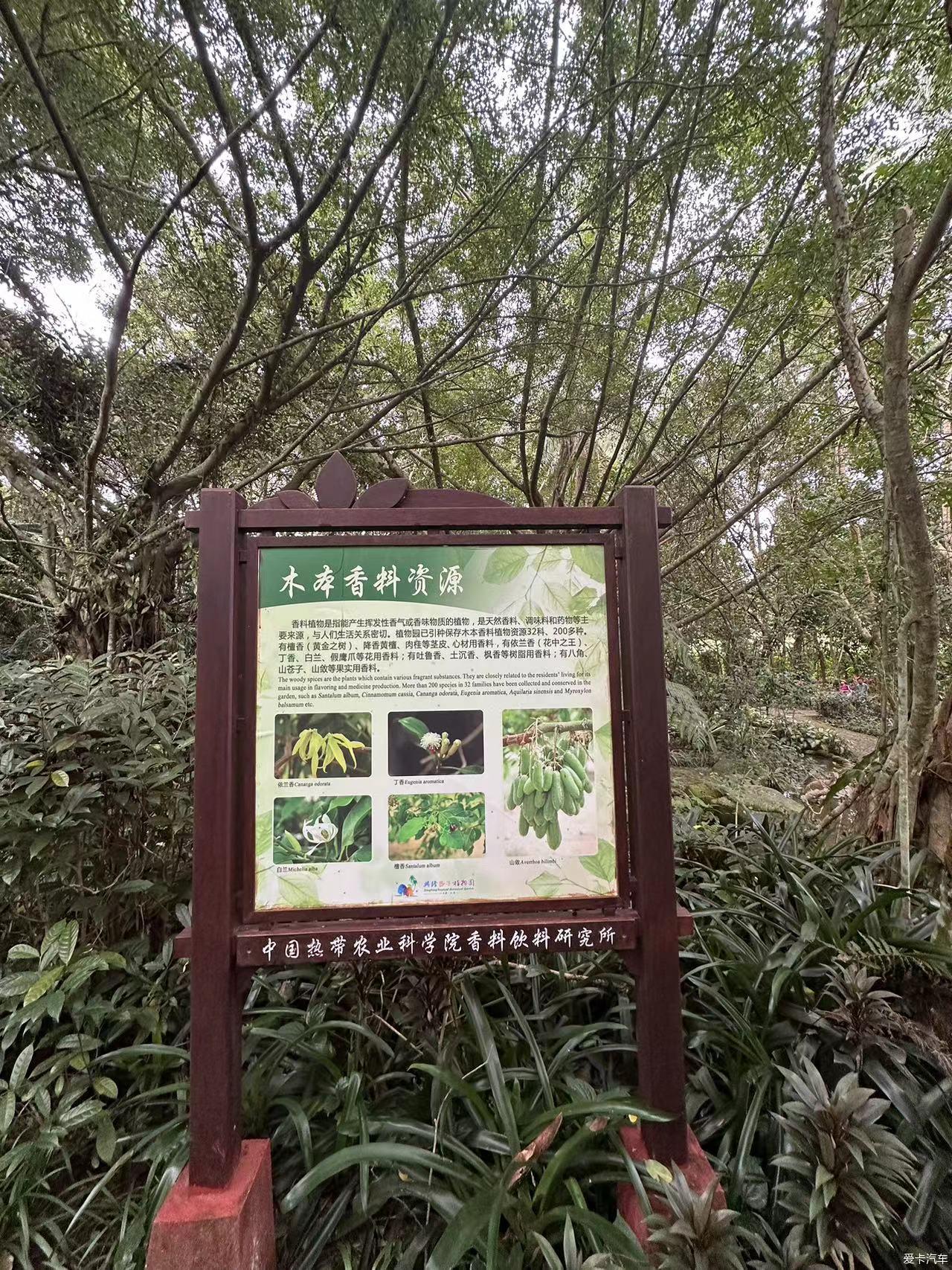 兴隆热带植物园简介图片