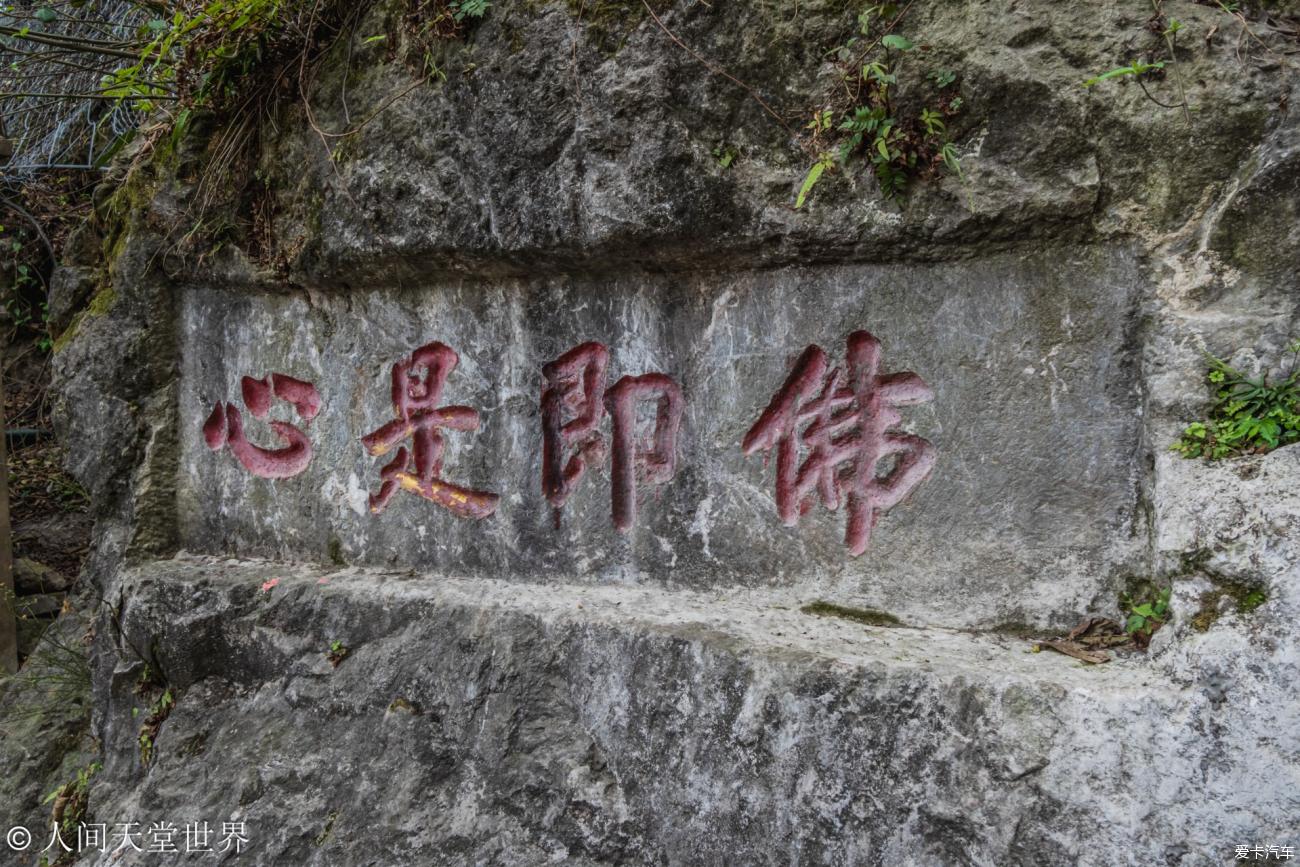 点击进入图库