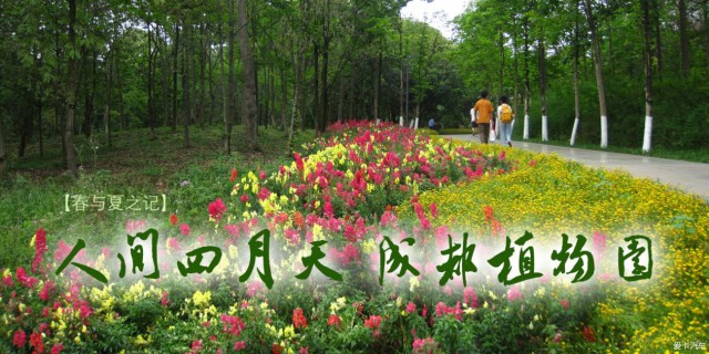 【春与夏之记】人间四月天，成都植物园